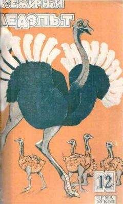 Александр Беляев - Среди одичавших коней