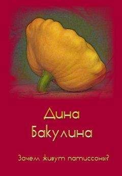 Дина Бакулина - Зачем живут патиссоны?