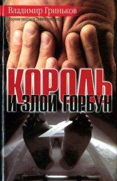 Владимир Гриньков - Король и Злой Горбун