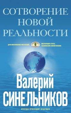 Валерий Синельников - Сотворение новой реальности. Откуда приходит будущее