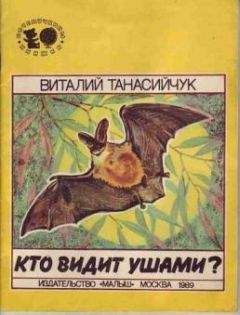 Виталий Танасийчук - Кто видит ушами?