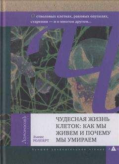 Льюис Уолперт - Чудесная жизнь клеток: как мы живем и почему мы умираем
