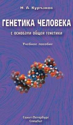 Николай Курчанов - Генетика человека с основами общей генетики. Учебное пособие