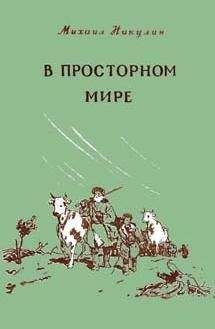 Михаил Никулин - В просторном мире