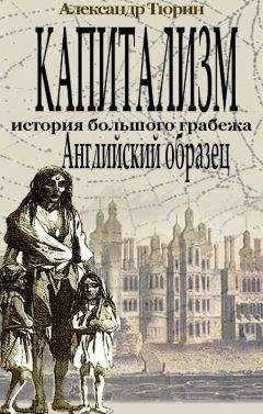 Александр Тюрин - Капитализм – история большого грабежа. Английский образец