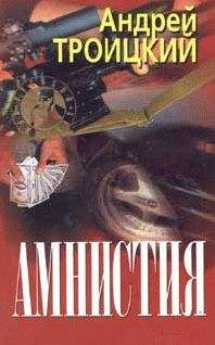 Андрей Троицкий - Амнистия