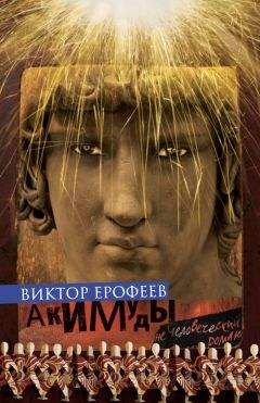 Виктор Ерофеев - Акимуды