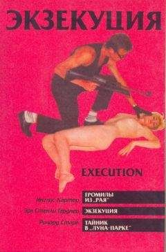 Ричард Старк - Тайник в "Луна-парке"