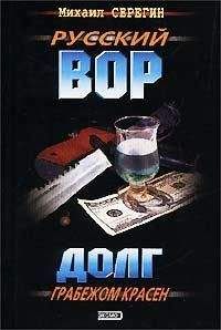 Михаил Серегин - Долг грабежом красен