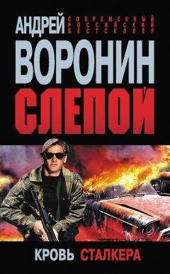 Андрей Воронин - Слепой. Кровь сталкера