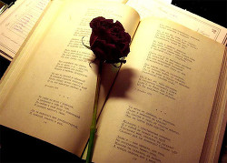 Мгновения. Сборник стихов (СИ) - Апанасович Вера Юрьевна 