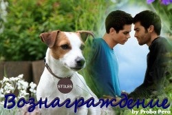 Вознаграждение (СИ) - 