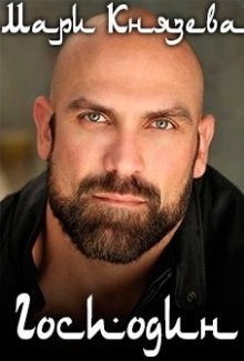 Господин (СИ) - Князева Мари