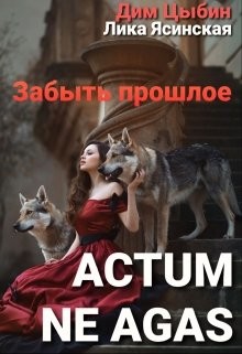 Actum ne agas. Забыть прошлое (СИ) - Ясинская Лика
