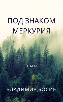Под знаком Меркурия (СИ) - Босин Владимир Георгиевич 