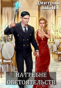 На гребне обстоятельств (СИ) - Шелег Дмитрий Витальевич