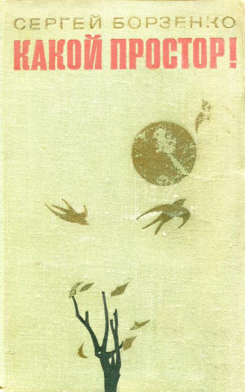 Какой простор! Книга вторая: Бытие - Сергей Александрович Борзенко