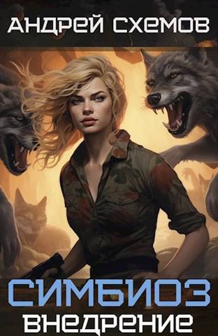 Внедрение - Андрей Схемов