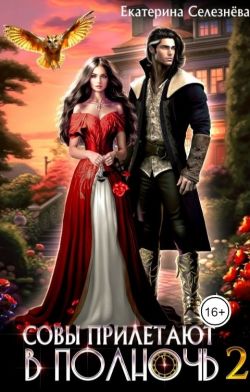 Совы прилетают в полночь 2 - Екатерина Селезнёва