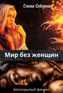 Мир без женщин. - Елена Северная