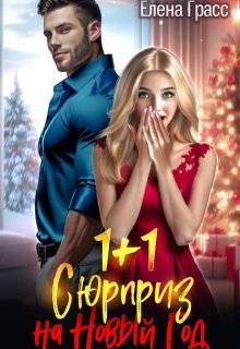 1 + 1. Сюрприз на Новый год - Елена Грасс