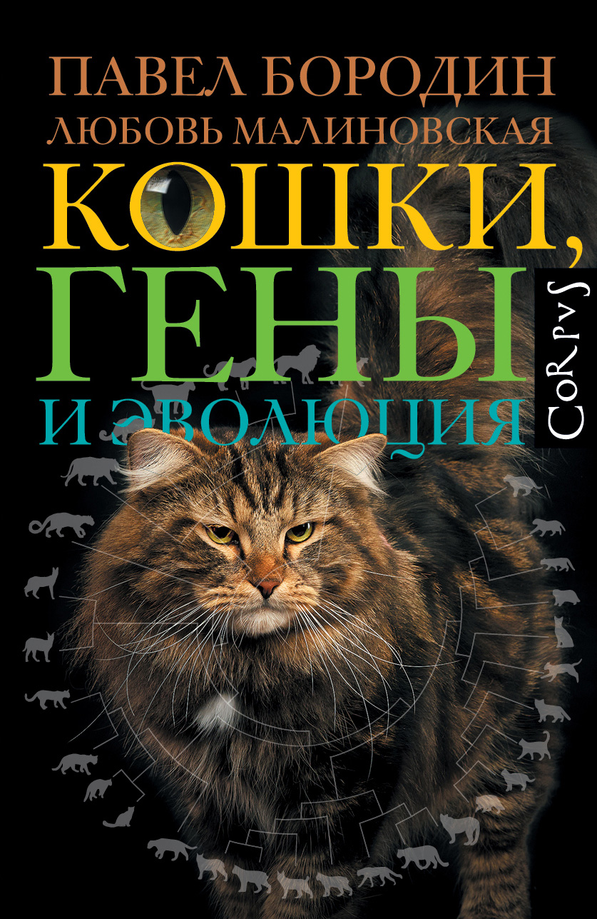 Кошки, гены и эволюция - Павел Михайлович Бородин
