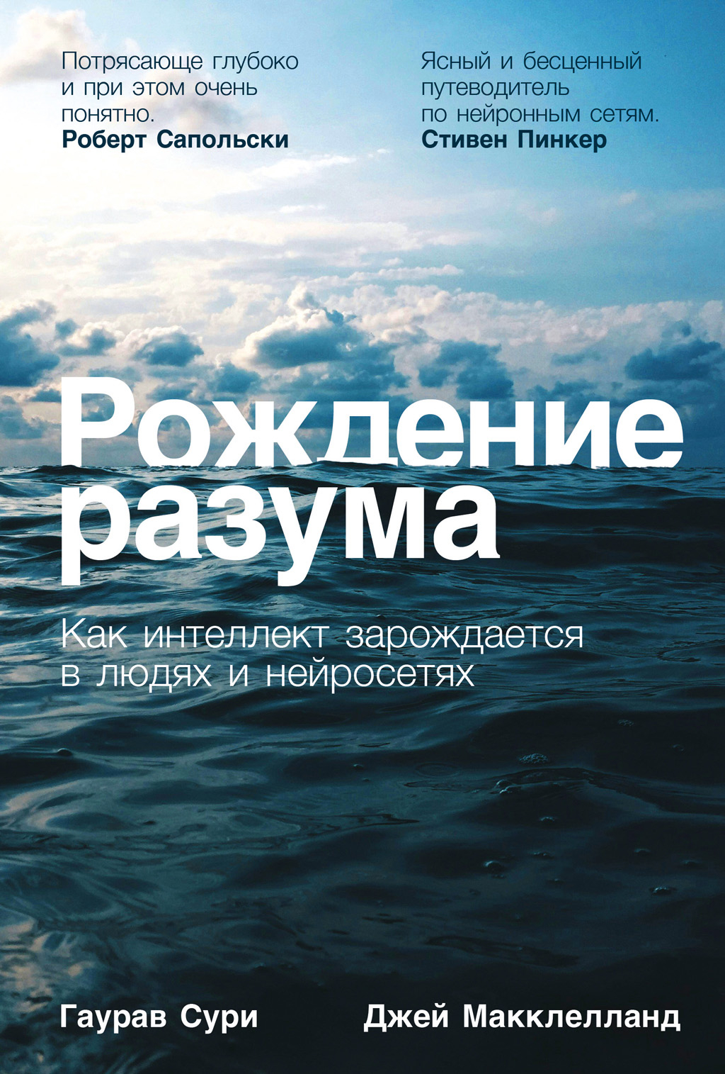 Рождение разума: Как интеллект зарождается в людях и нейросетях - Джей Макклелланд