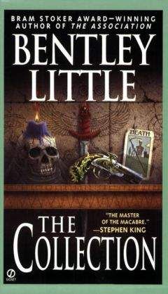 Бентли Литтл - В лесу будет темно